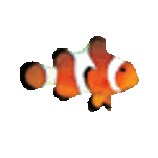 Clownfish Voice Changer Ultimate icon